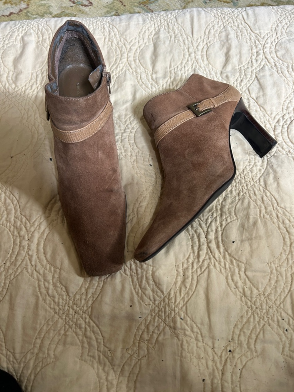 Women’s Bandolino Brown Suede Ankle Booties with Decorative Buckle